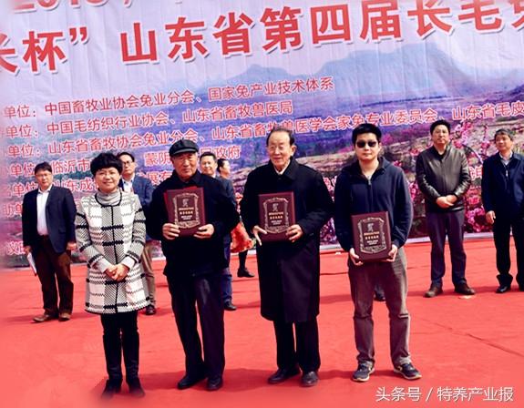 蒙阴今日兔毛价格行情，市场走势、影响因素与行业洞察分析