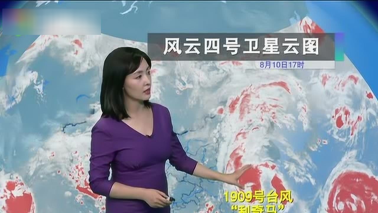 律师营业执照 第48页