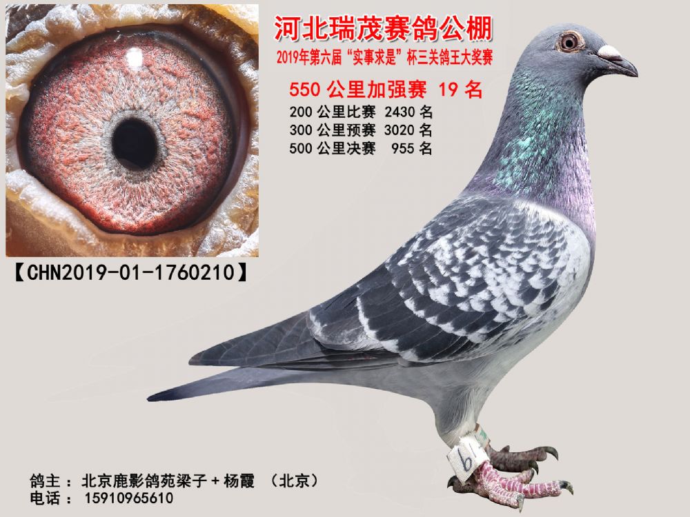 刑事辩解 第80页