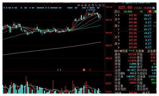 律师营业执照 第42页