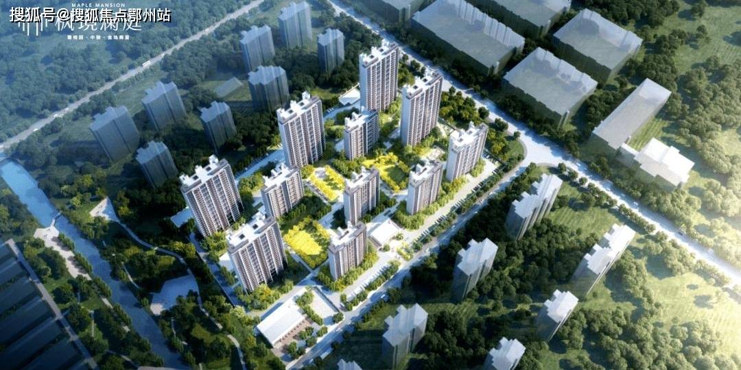 龙丹妮新动态，时代浪潮中的璀璨新星