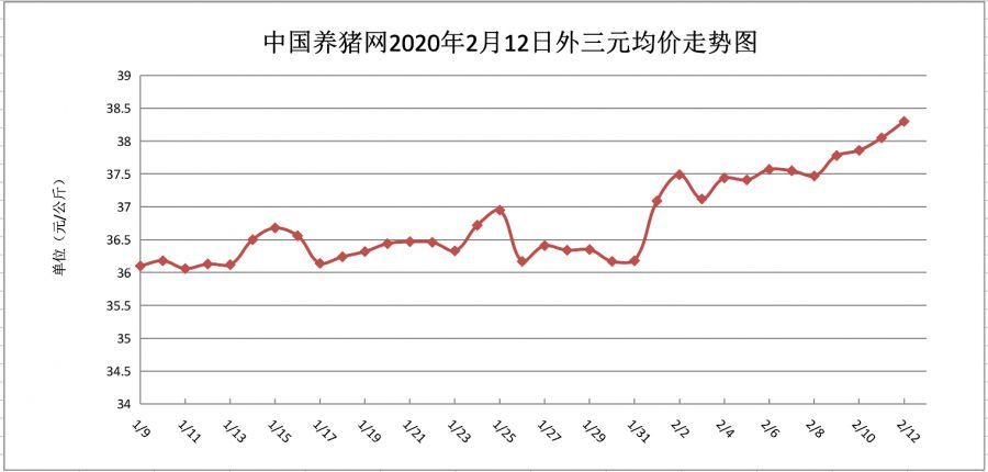 最新生猪价格动态，猪市风云中的温情故事回顾