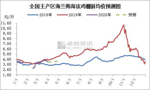 今日淘汰蛋鸡最新报价及市场分析与趋势预测