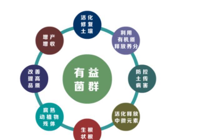 微生物菌肥价格揭秘，开启自然美景之旅的邀请