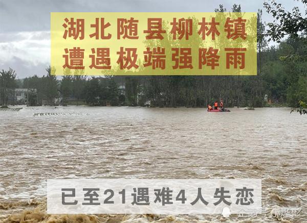 柳林最新祭文，友情树下的小趣事