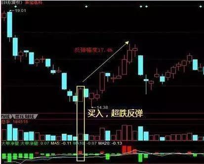 股票上市作用，小巷宝藏与特色小店的非凡之旅