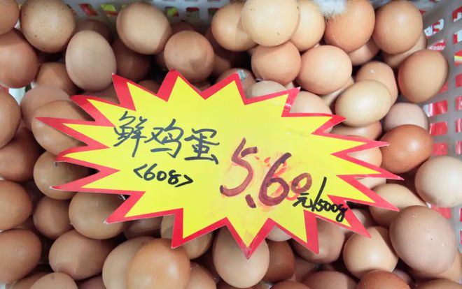 河南鸡蛋价格与行情深度解析
