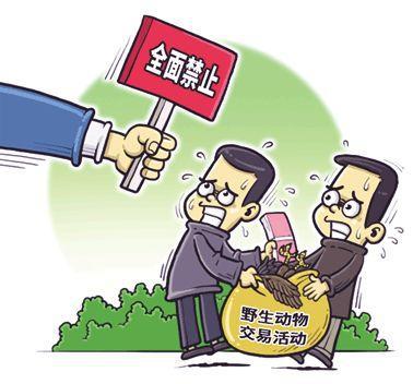 疫情最新刑案分析与法律应对策略，行业行为审视