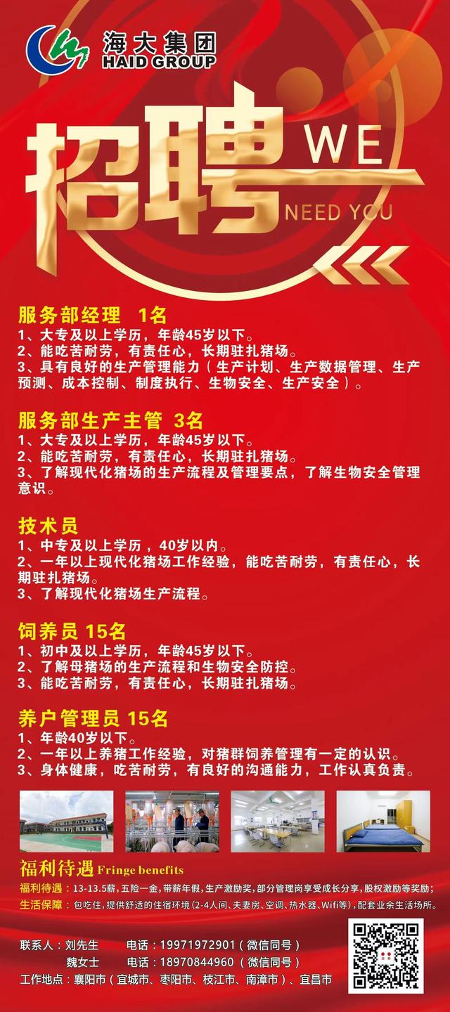 莒南双休招聘最新动态及观点分析