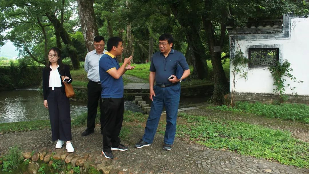 上饶市张义科新职务揭秘，与自然美景同行，探寻内心宁静之旅