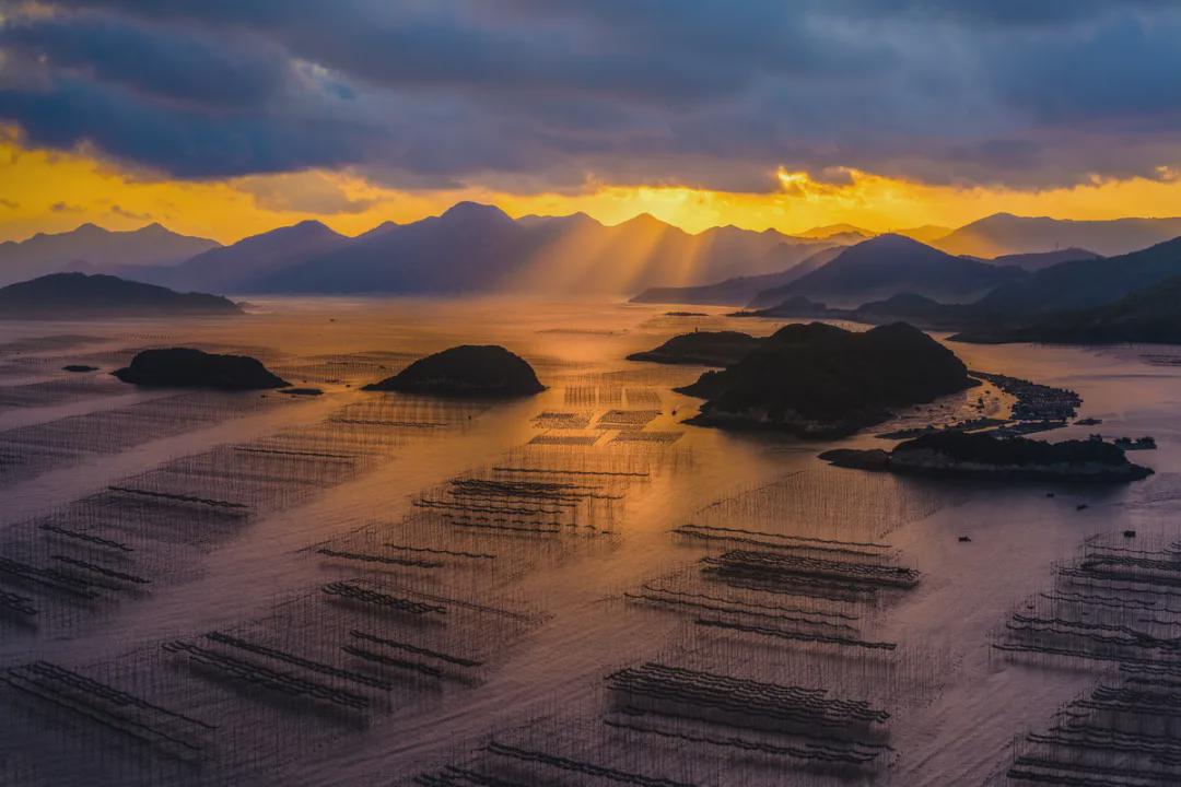 霞浦新闻，科技新品重塑未来生活体验，最新消息震撼登场