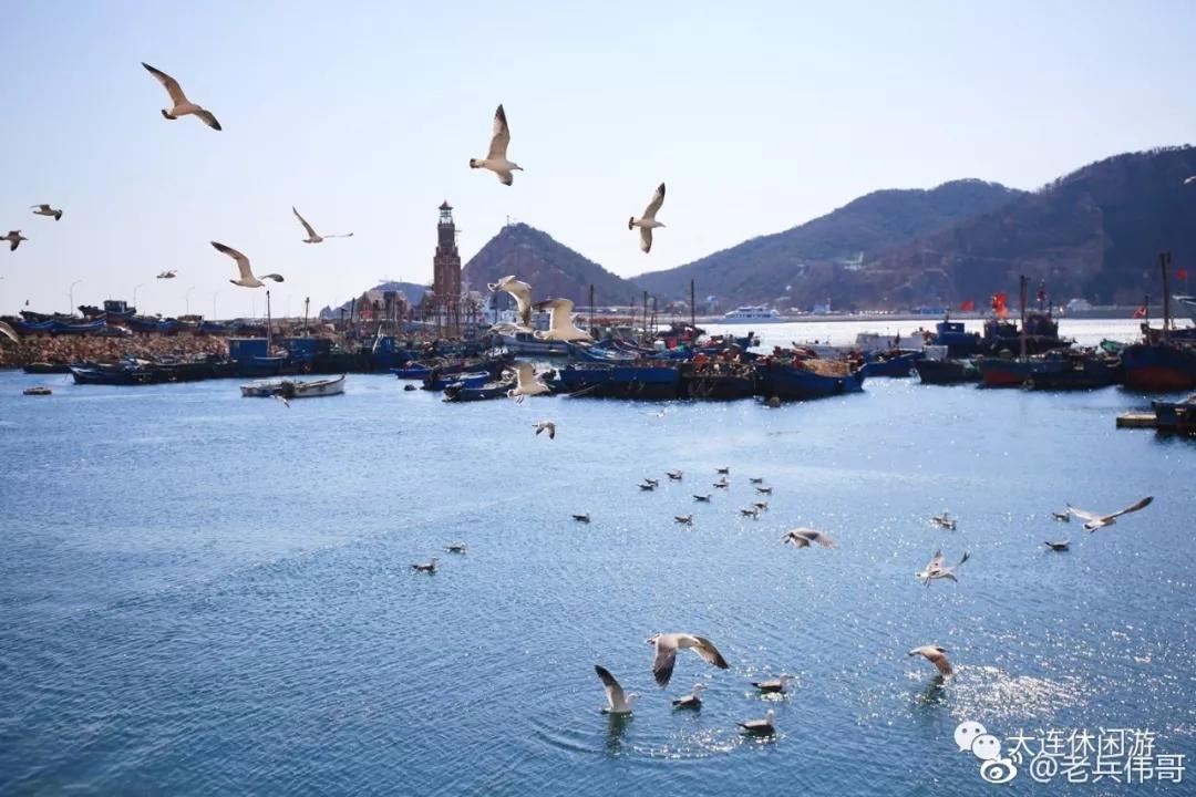 自然美景的探索之旅