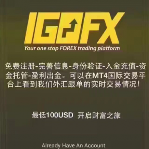 IGOFX爆仓最新消息，一则温馨的爆仓日常故事更新报道