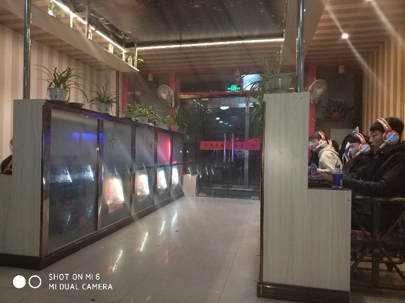 沧州最新招聘信息网，启程寻找内心宁静与平和的职场之旅