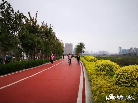 刑事辩解