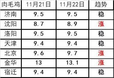毛鸡最新价格